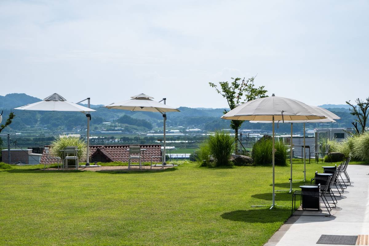 Shade Umbrella With Base: 7 Proven Tips to Avoid Costly Mistakes